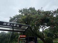 -张坝桂圆林公园