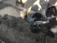 -无锡动物园·太湖欢乐园
