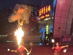 -灵玲国际马戏城