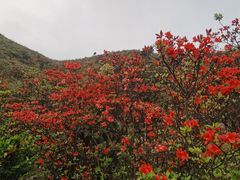 -广东天露山旅游度假区