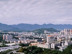 -福道