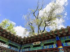 -翠湖公园