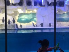 -华夏文旅海洋公园