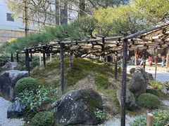 -中村藤吉(本店)