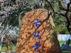 -无锡梅园公园