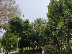 -南山图书馆(常兴路店)