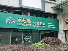 -乐派堂宠物医院·猫友好· 心脏科(东街店)