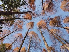 -同里国家湿地公园