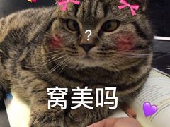 -星巴克(西湖天地店)