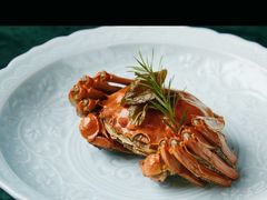 -Hi City·城市之巅