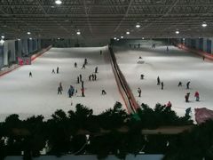 -绍兴启迪乔波冰雪世界