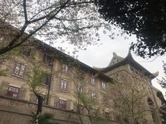 -武汉大学-樱园