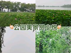 -颐和园