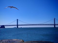 -星海湾跨海大桥