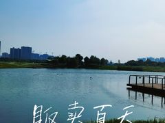 -洋湖国家湿地公园