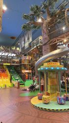 -卡通尼·Safari非洲探索乐园·生日会(金桥国际商业广场店)