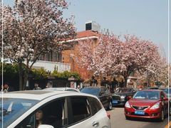 -天津五大道文化旅游区