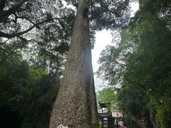 -青城山