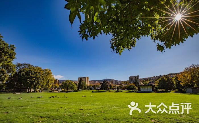 riverside park - centre of the city图片 - 第3张