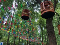 景点-东平国家森林公园