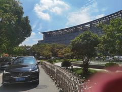 -上海中医药大学附属曙光医院(东部)