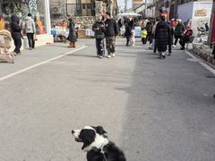 -辛庄国际文化艺术区