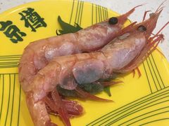 -京樽回転寿司(奥林匹克店)