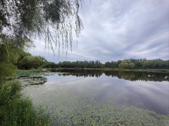 -北坞公园