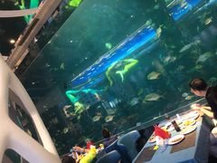 -瑞德姆美人鱼海底演艺主题餐厅(亚龙湾店)