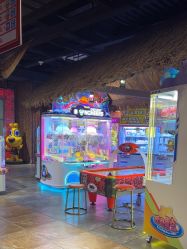 -卡通尼·Safari非洲探索乐园·生日会(金桥国际商业广场店)