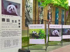 -西安电影制片厂