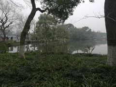 -西湖外事游船(花港观鱼码头)