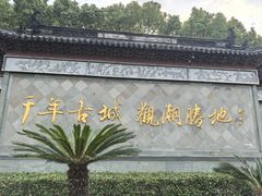 -观潮胜地公园