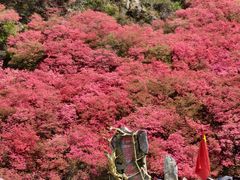 -木兰云雾山