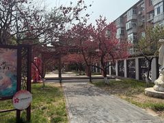 -桃花堤公园