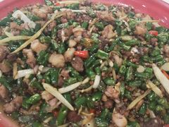 -东吴霸王兔(松青路店)