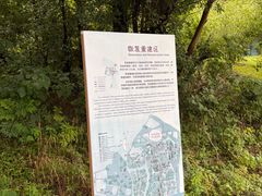 -同里国家湿地公园
