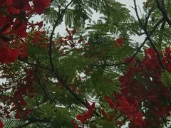 -白沙门生态公园
