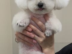-创凡宠物医院·骨专科  猫科中心(西乡分院)