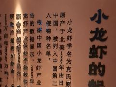 -肥肥虾庄·金牌油焖大虾(杨园滨江时代walk店)
