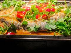 湄公鱼-炉鱼(萧山万象汇店)