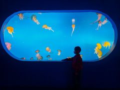 -太平洋海底世界