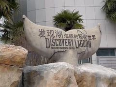 -上海海昌海洋公园
