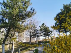 -桃花岛公园