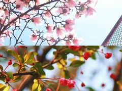 -四川大学(望江校区)