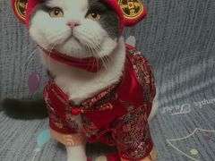 -派悦坊·甜品·蛋糕(日坛店)