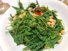 清炒南瓜尖儿-巴依老爷新疆美食(昌平店)