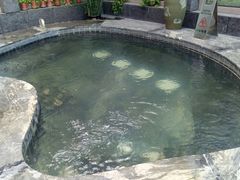 -弘安丽水温泉酒店