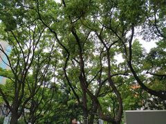 -上海市控江中学