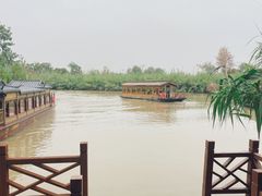 -泗洪洪泽湖湿地景区